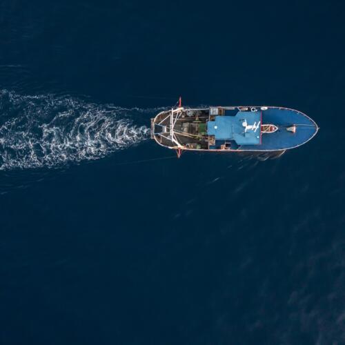 New Global Fisheries Transparency Coalition Releases Charter for Public Comment