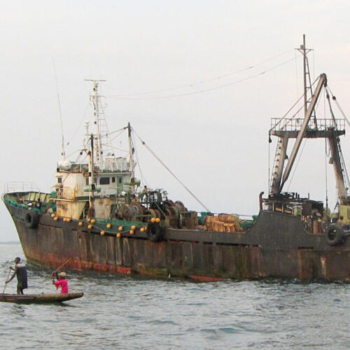25 Reasons why the WTO must end subsidies that drive overfishing