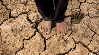 No more delays: EJF comment on IPCC Sixth Assessment Report