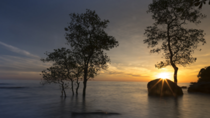 Meeresschutz gehört ins Zentrum der Klimapolitik