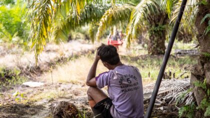 EU Parliament must vote to end human rights and environmental abuse in supply chains