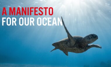 A manifesto for our ocean