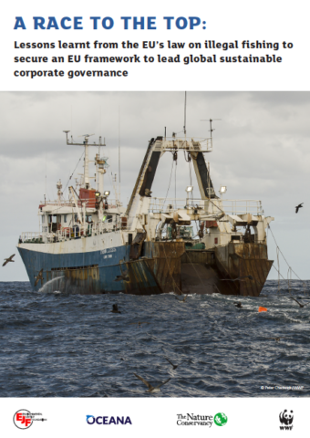 A Race To The Top: Lessons learnt from the EU’s law on illegal fishing to secure an EU framework to lead global sustainable corporate governance