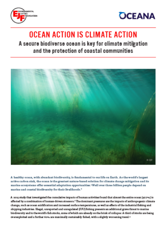 Ocean action is climate action: A secure biodiverse ocean is key for climate mitigation and the protection of coastal communities