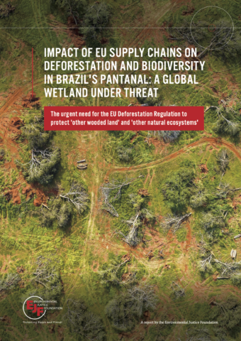 Einfluss von EU-Lieferketten auf die Entwaldung in Brasiliens Pantanal: Ein bedrohtes Feuchtgebiet