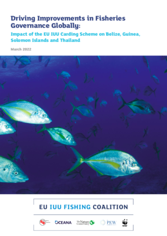 Verbesserungen in der globalen Fischereipolitik: Die Effekte des Kartenverfahrens der IUU-Verordnung der EU auf Belize, Guinea, die Salomonen und Thailand