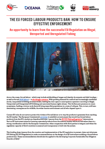The EU forced labour products ban: how to ensure effective enforcement