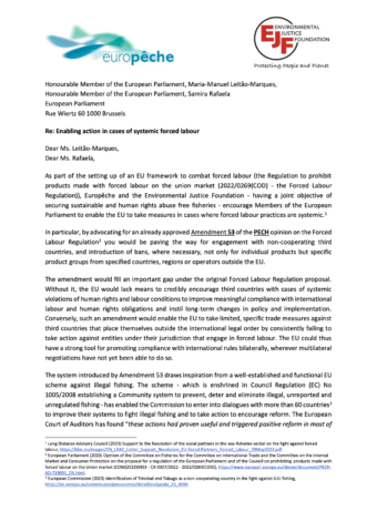 Gemeinsamer Brief: Maßnahmen gegen systemische Zwangsarbeit ermöglichen