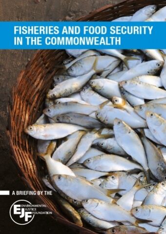 Fisheries and Food Security in the Commonwealth