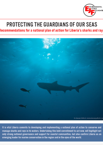 Protecting the guardians of our seas: Recommendations for a national plan of action for Liberia’s sharks and rays