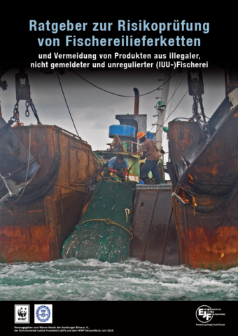 Ratgeber zur Risikoprüfung von Fischereilieferketten