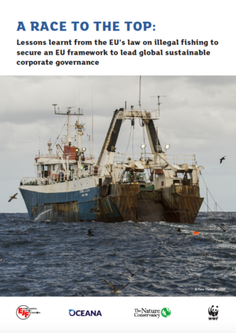 A race to the top: Lessons learnt from the EU’s law on illegal fishing to secure an EU framework to lead global sustainable corporate governance