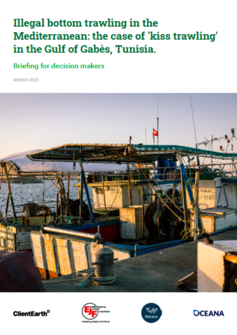 Chalutage de fond illégal en Méditerranée : le cas de la « pêche au Kiss » dans le golfe de Gabès, Tunisie