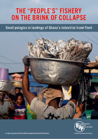 The „People's“ Fishery On The Brink Of Collapse: Kleine pelagische Fische in Anlandungen der industriellen Flotte Ghanas