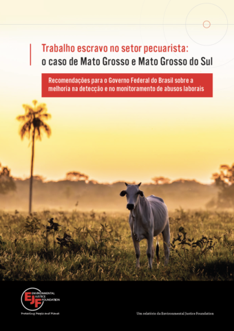 Trabalho escravo no setor pecuarista: o caso de Mato Grosso e Mato Grosso do Sul