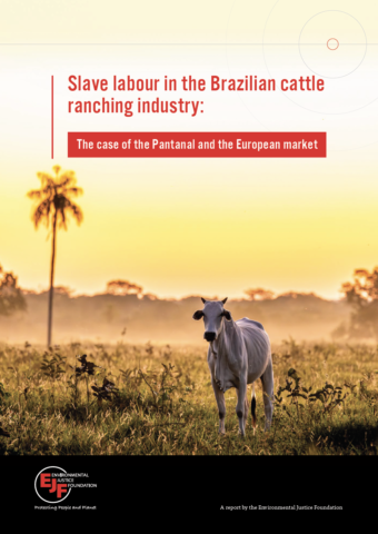 Slave labour in the Brazilian cattle ranching industry: the case of the Pantanal and the European market