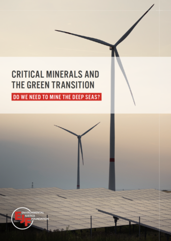 Critical minerals and the green transition: do we need to mine the deep seas?