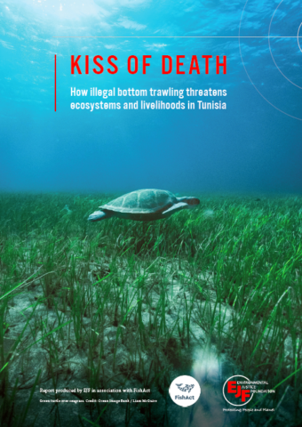 Kiss of death: How illegal bottom trawling threatens ecosystems and livelihoods in Tunisia