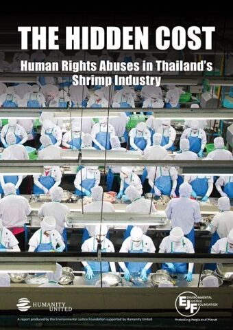 The Hidden Cost: Human Rights Abuses in Thailand's Shrimp Industry