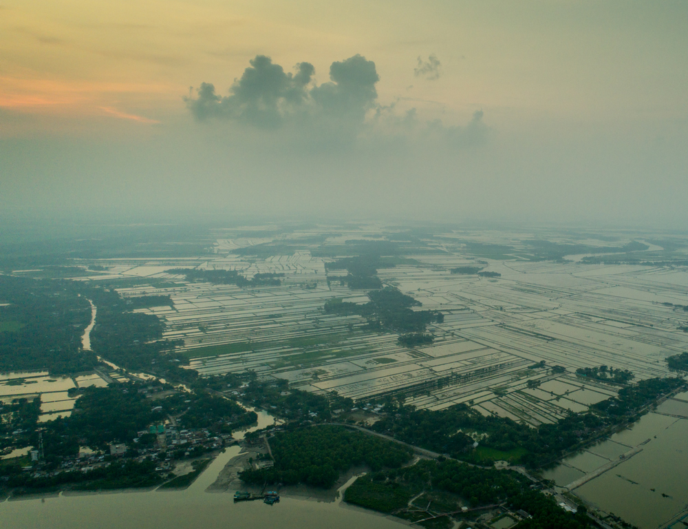 Aerial Sunderbans