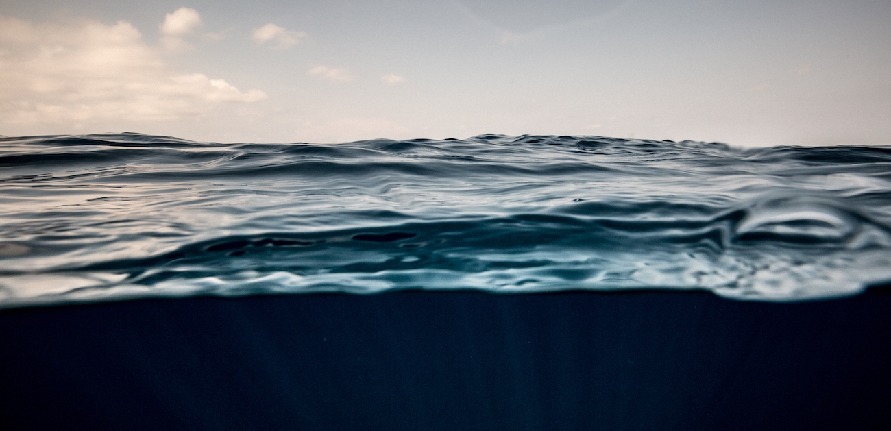 Blue Carbon: The Role of Our Ocean in the Fight Against the Climate Emergency