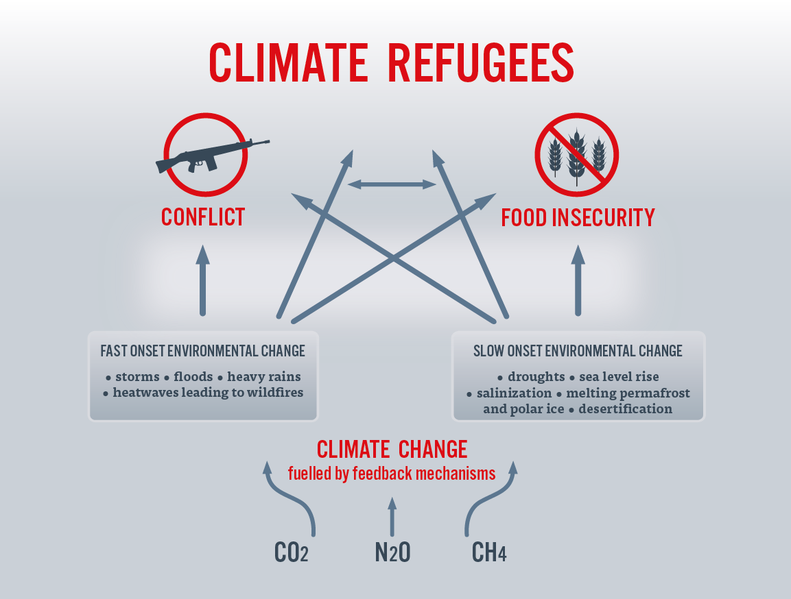 Climate Refugees Inforgaphics 2 New