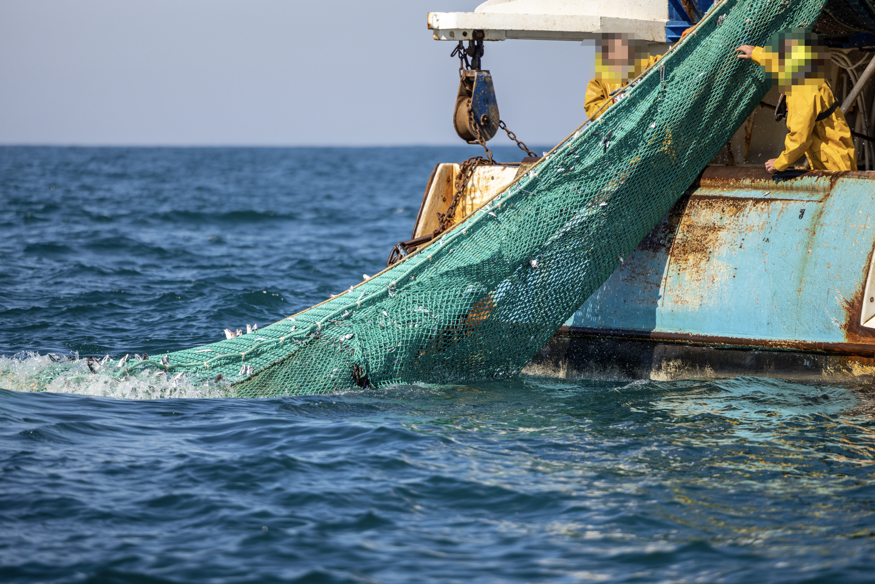 EU FISHERIES POLICY FIT FOR PURPOSE, BUT URGENTLY NEEDS FULL IMPLEMENTATION, SAYS EJF
