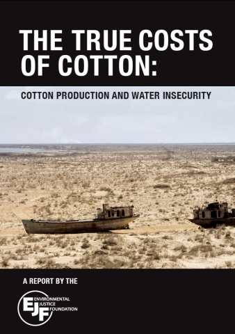 The True Costs of Cotton: Cotton Production and Water Insecurity