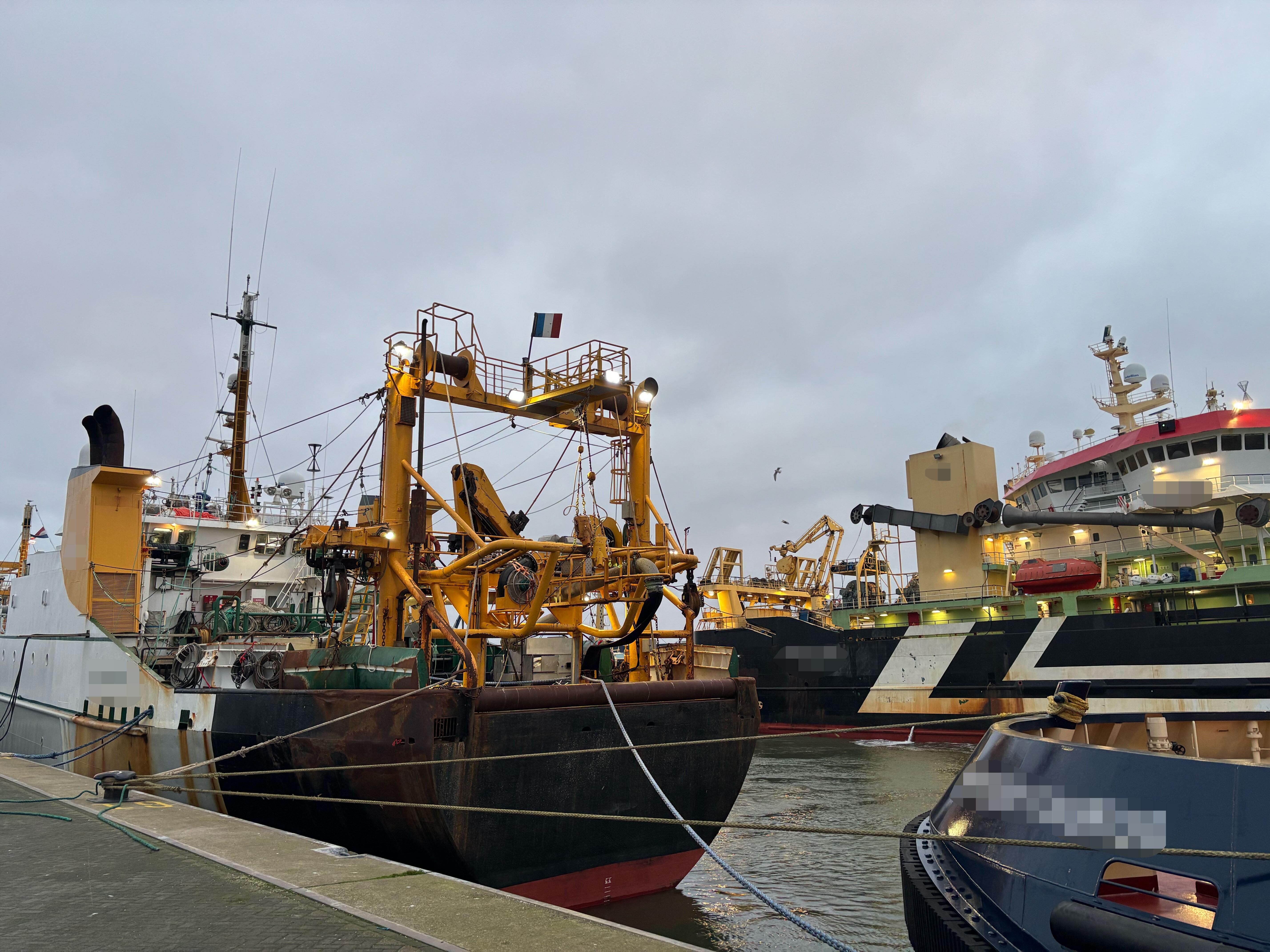 Global lessons on discard bans: what the EU can learn as it evaluates the landing obligation