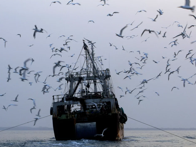 Eradicating illegal fishing and improving transparency in Regional Fisheries Management Organisations