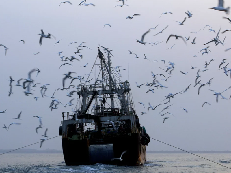 Ending Illegal Fishing