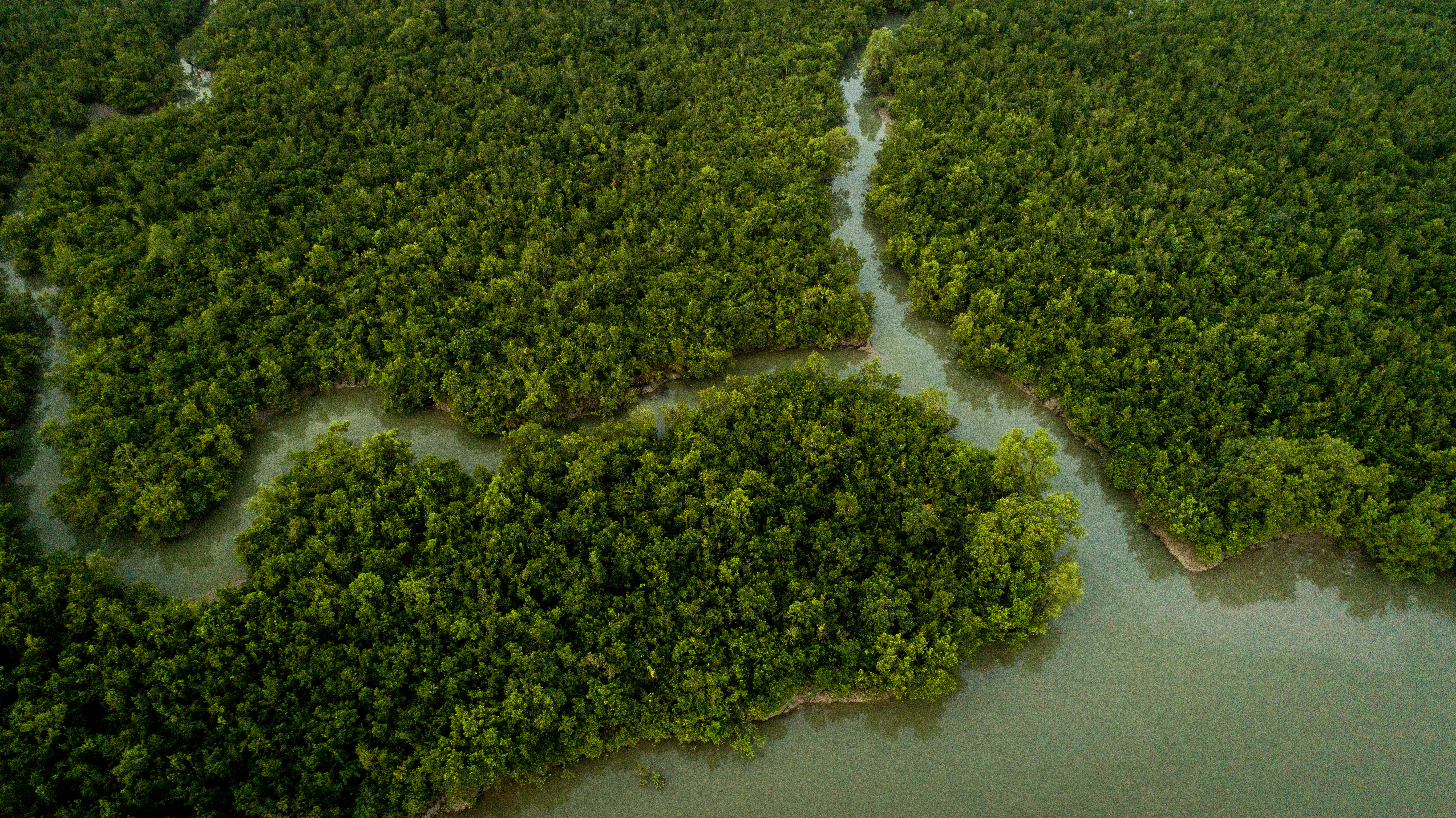 Protecting biodiversity is key to securing human rights