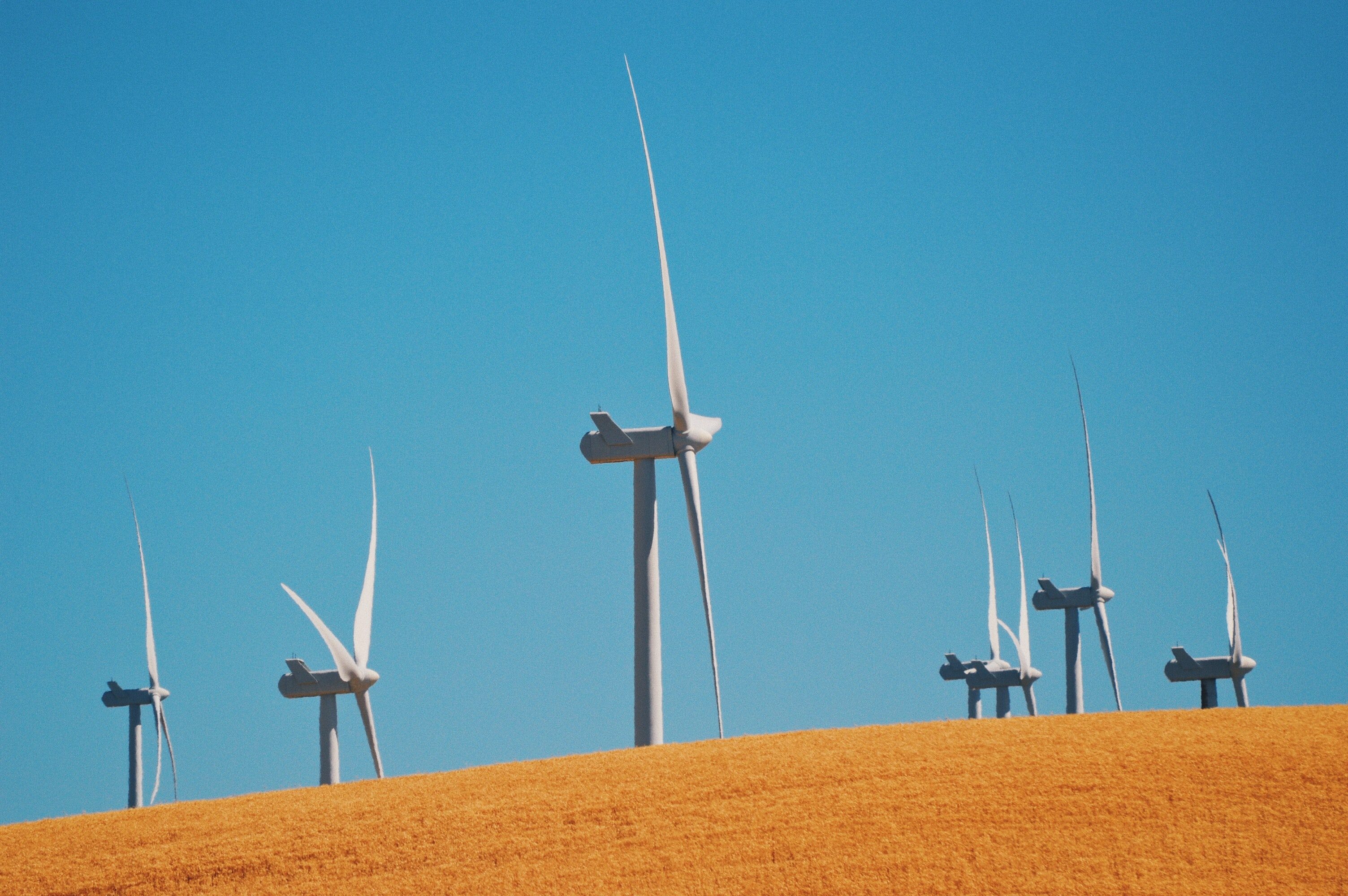 Klimaschutz ist ein Gewinn für die Wirtschaft