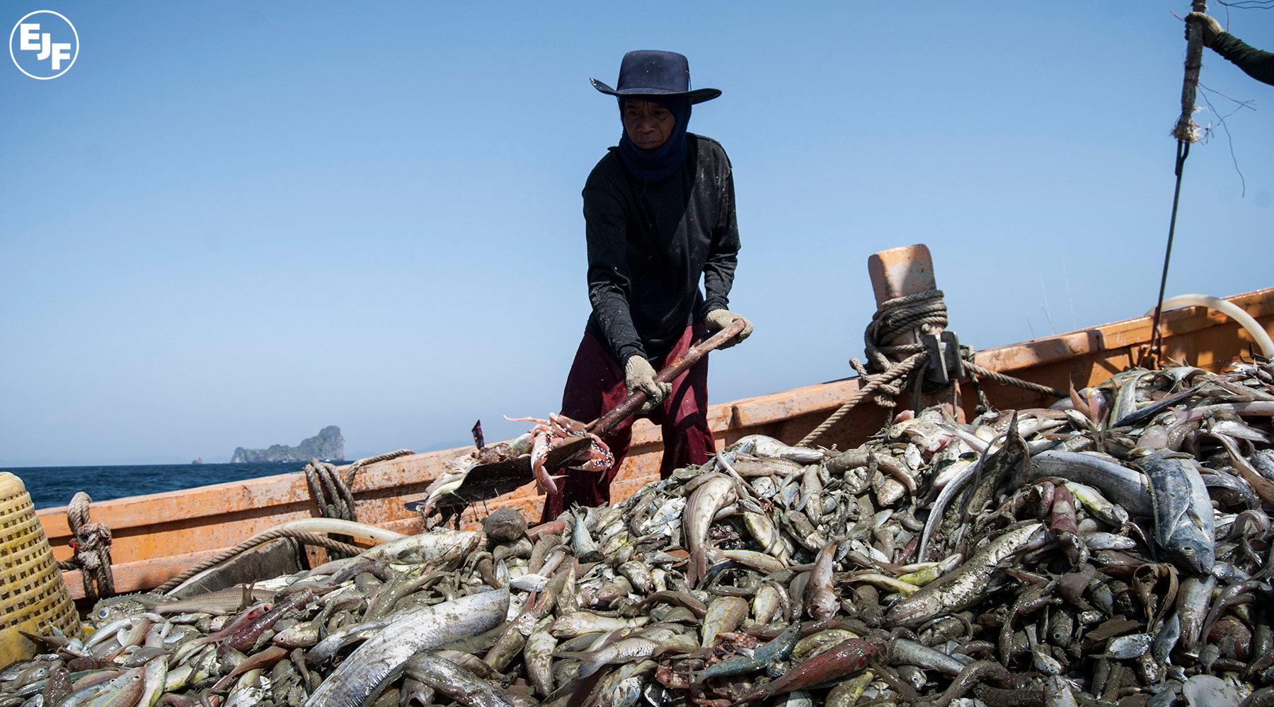 Overfishing and pirate fishing perpetuate environmental degradation and modern-day slavery in Thailand