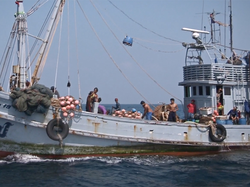 mustakeem slavery at sea