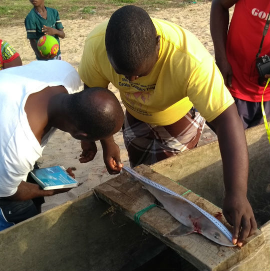 Training Liberia Shark Data