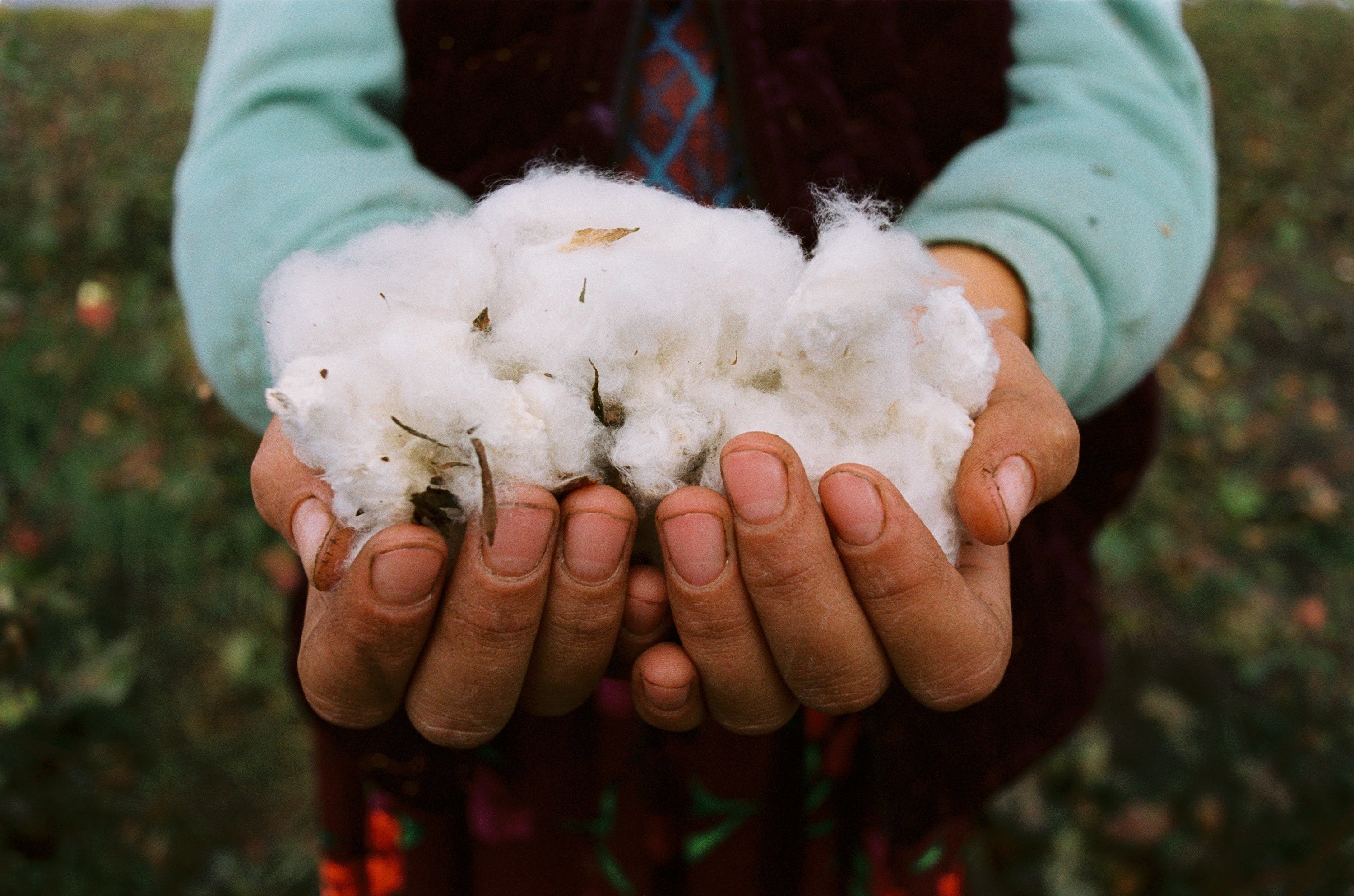 Environmental Justice Foundation  Clothes and climate: Is cotton…