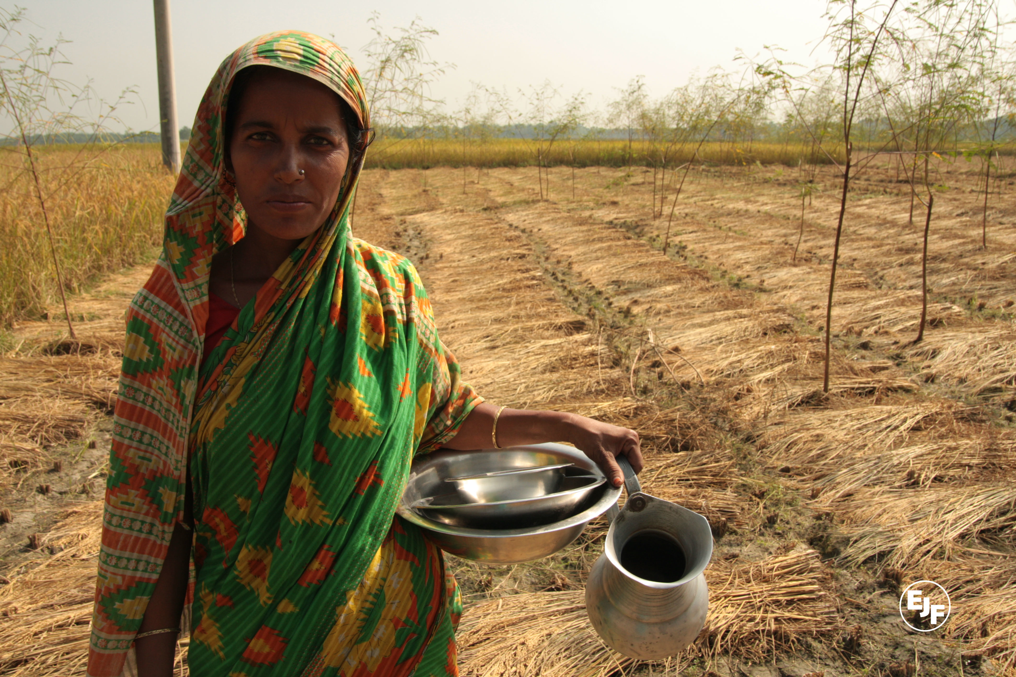 Women and climate justice: EJF commends new resolution from European Parliament