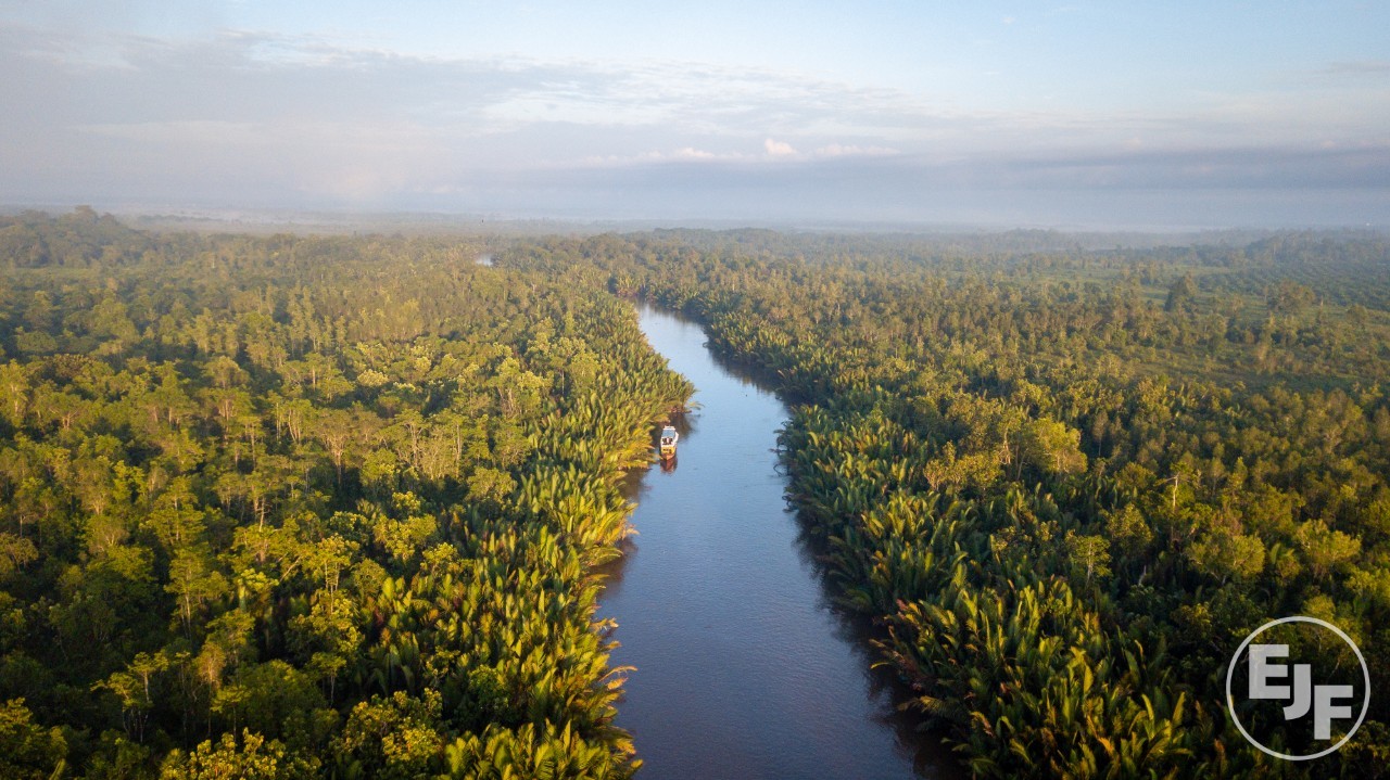 RED herring: Can the revised EU Renewable Energy Directive save the world’s forests?